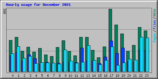 Hourly usage for December 2021