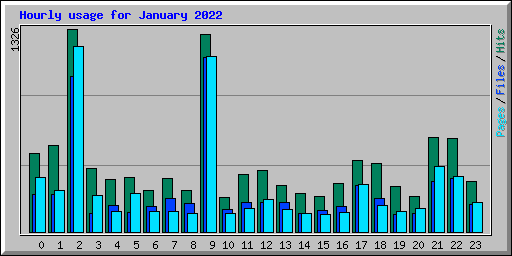 Hourly usage for January 2022