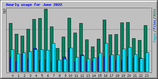 Hourly usage for June 2022