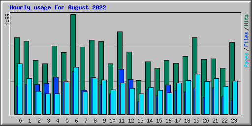 Hourly usage for August 2022